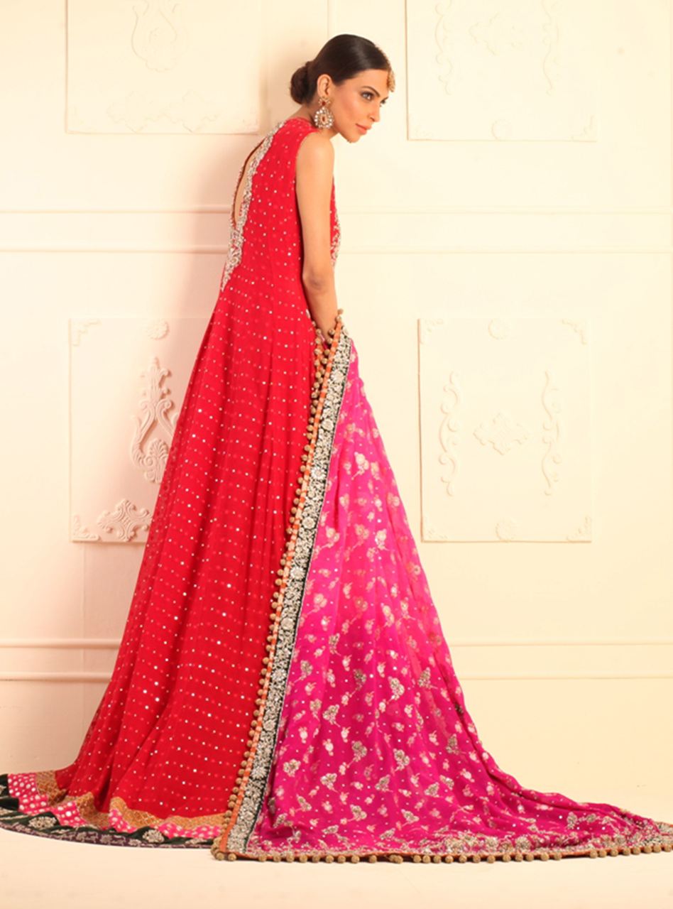 Long Red Mehsuri Net Paneled Dress