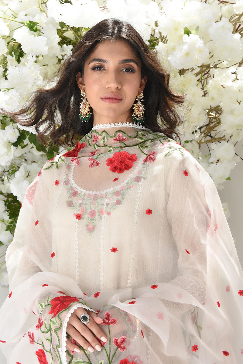 Zohra - Shirt And Pants