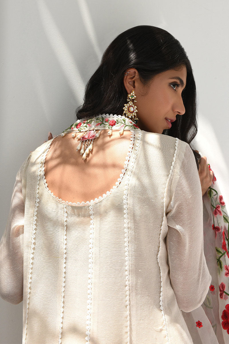 Zohra - Shirt And Pants