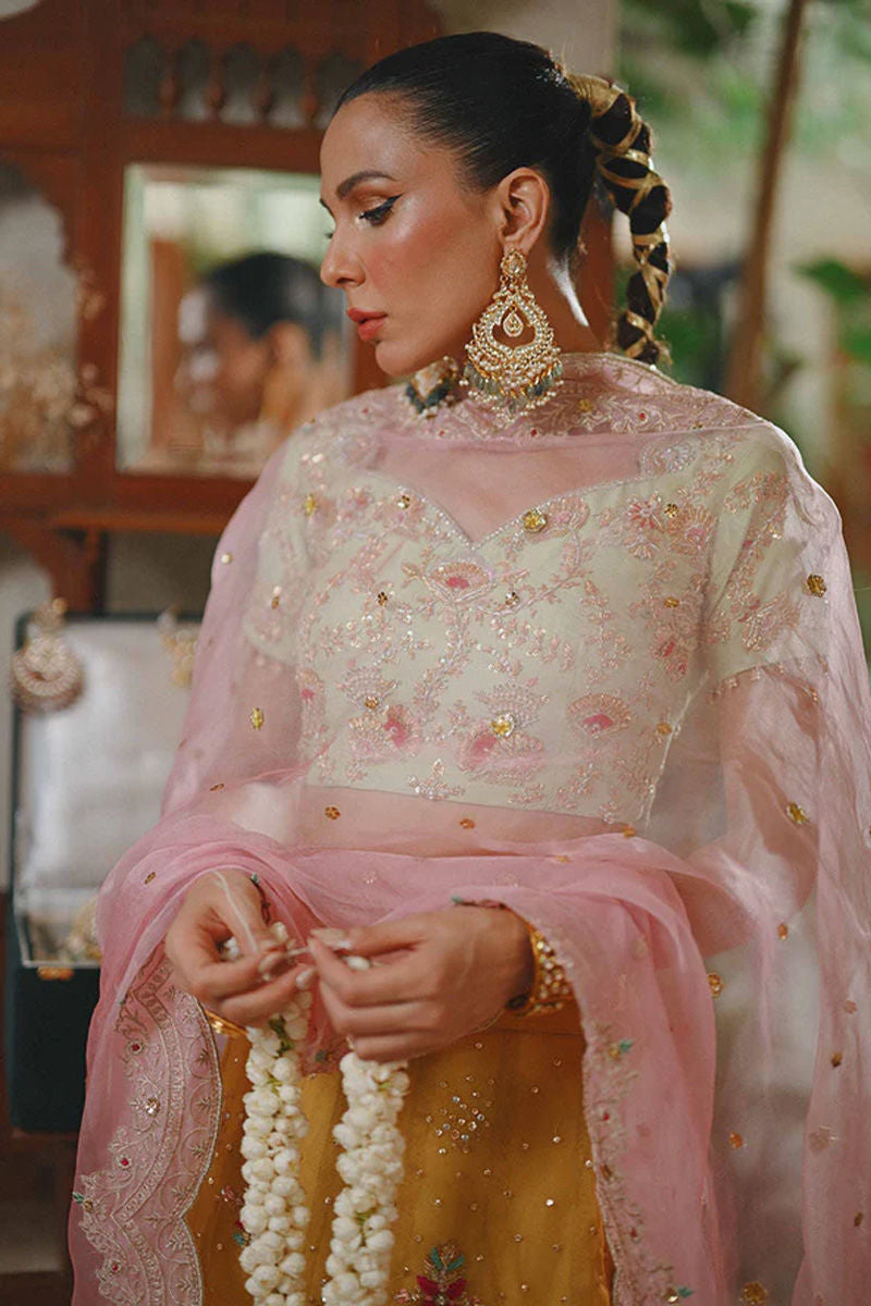 Amna Arshad