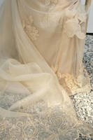 Cream Rose Net With Pants And Dupatta