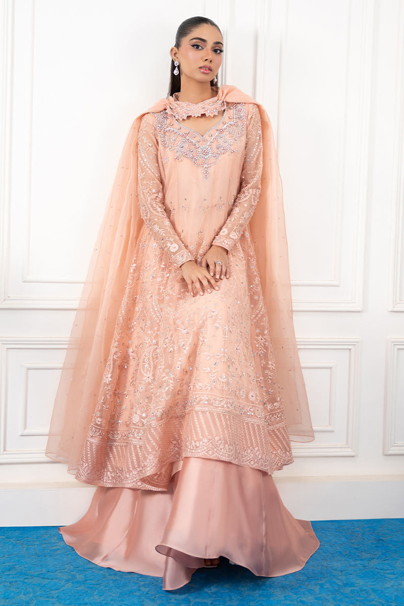 Amna Arshad