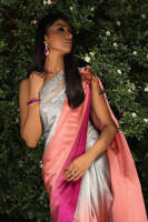 Starburst Ombre Sari