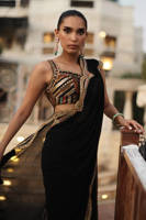 The Ethnic Sari