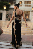 The Ethnic Sari