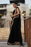 The Ethnic Sari