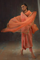 Peach Zari Long Full Set