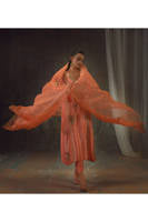 Peach Zari Long Full Set