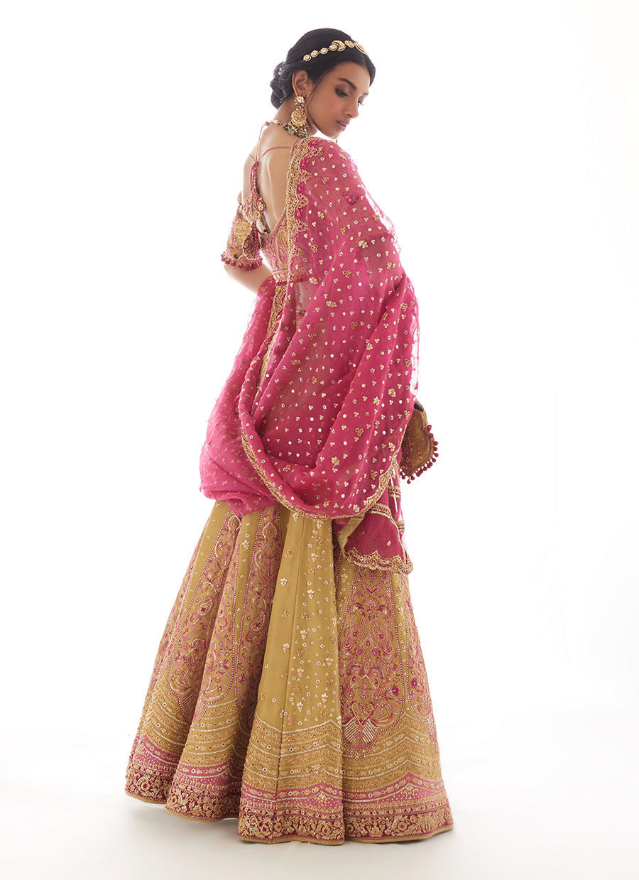 Keierra Rajasthani Lengha choli