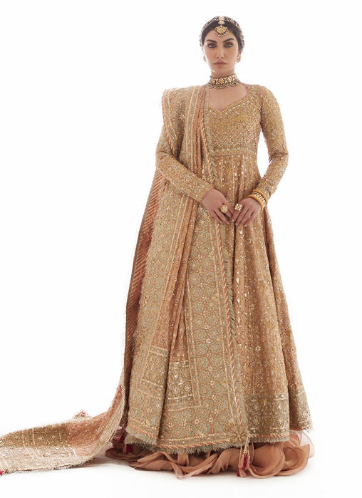 Dil Ras Panelled Farshi Bridal