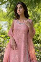 Pink Sparkle with Dupatta