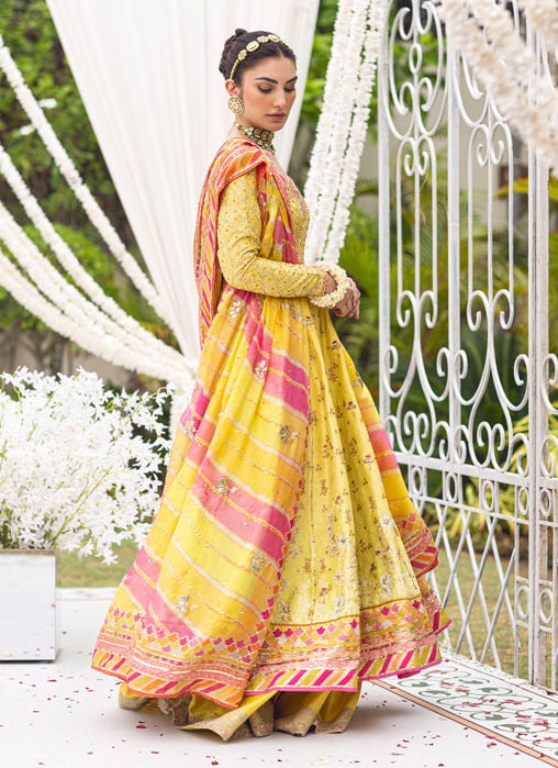 Faryal Printed Pink Kalidaar
