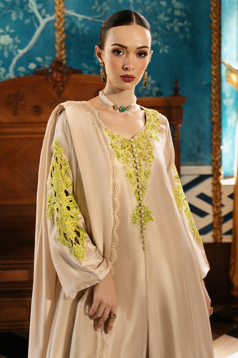 Ansab Jahangir