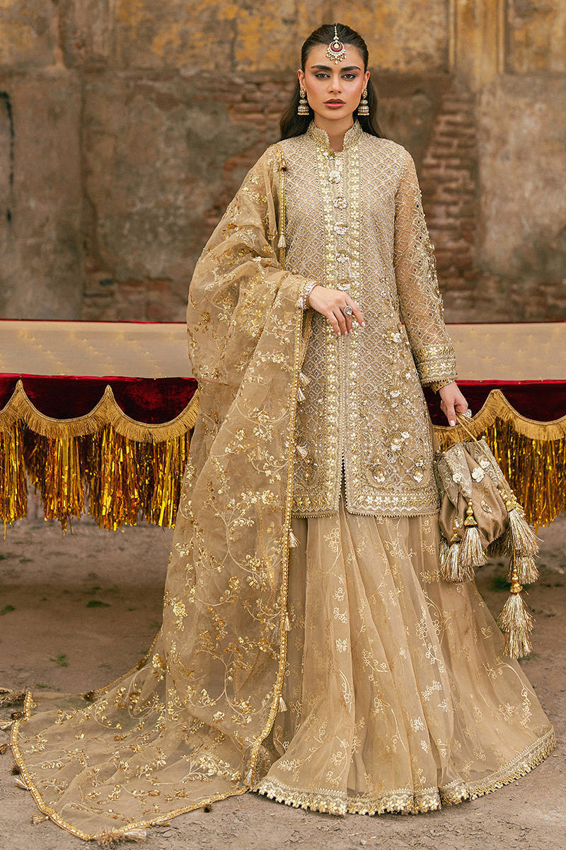 Mohsin Naveed Ranjha – Roshni Style