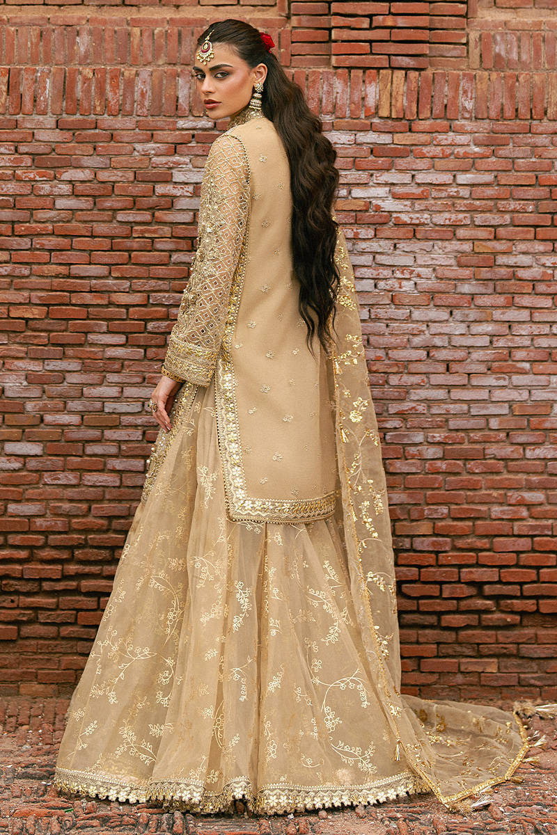 Mohsin Naveed Ranjha – Roshni Style