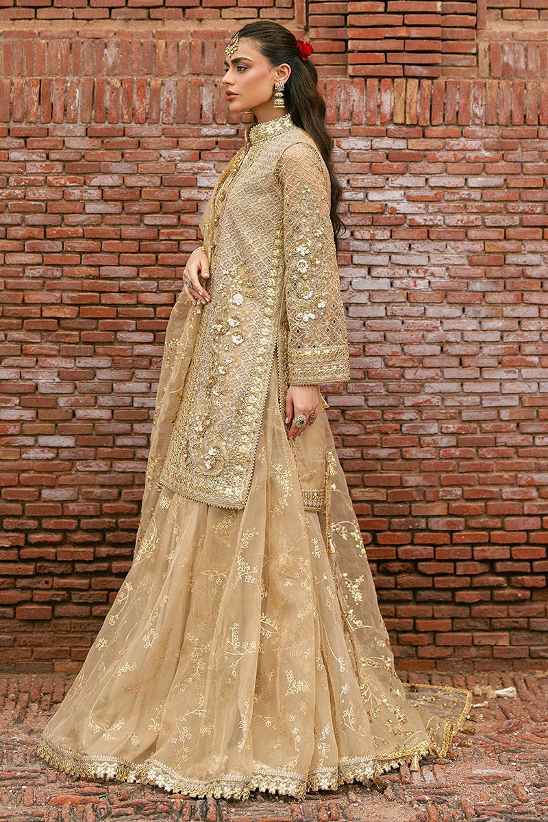 Mohsin Naveed Ranjha – Roshni Style