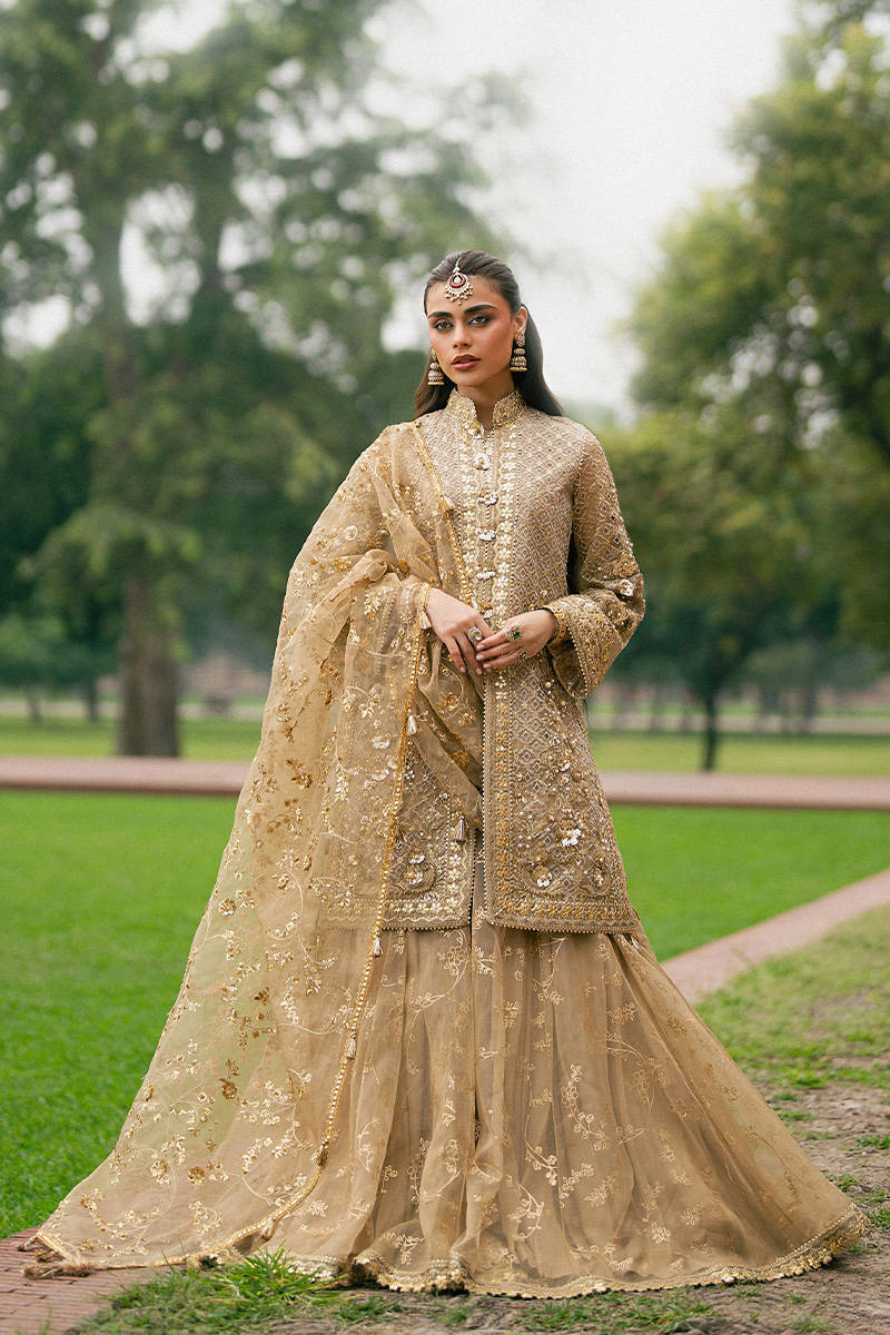 Mohsin Naveed Ranjha – Roshni Style