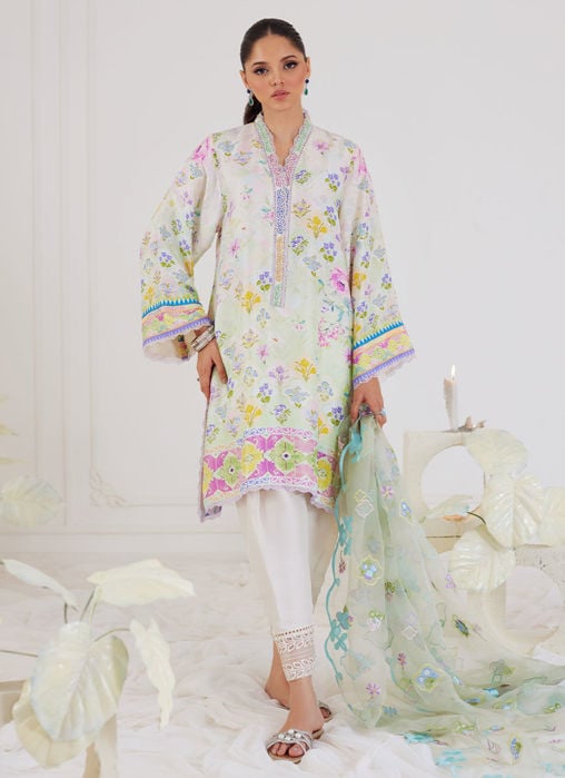 Paulina Rust Shirt And Dupatta