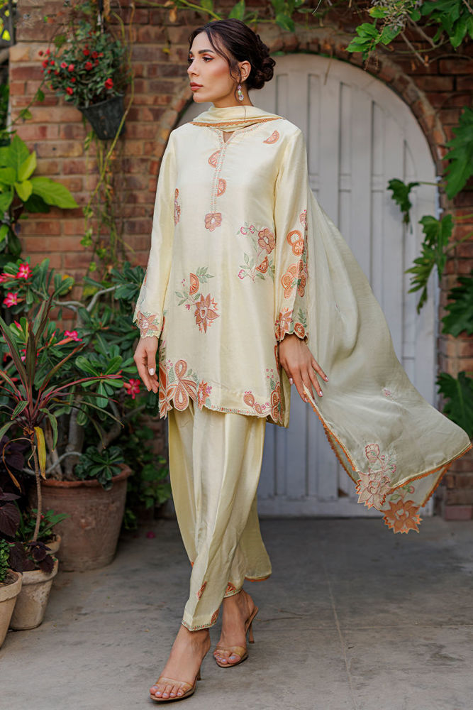 Capri Shirt and Dupatta