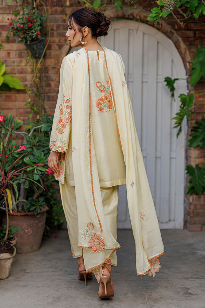 Capri Shirt and Dupatta