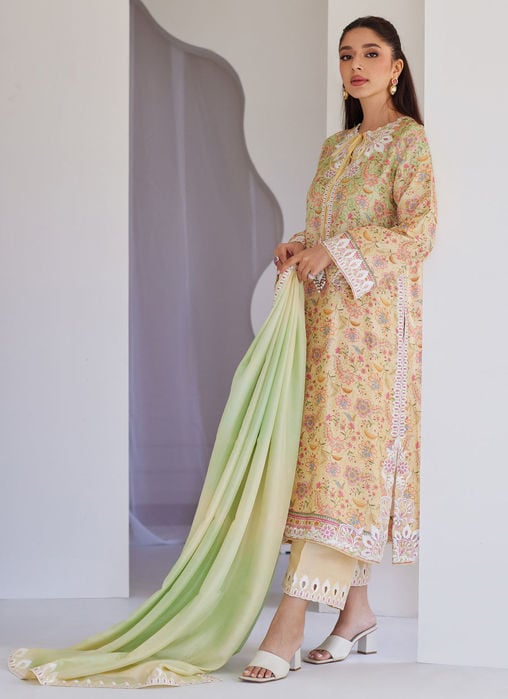 Teresa Ombre Shirt And Dupatta