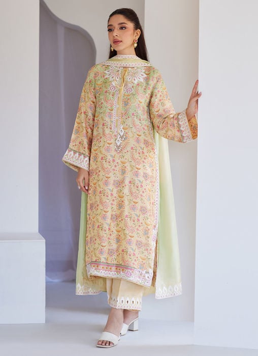 Teresa Ombre Shirt And Dupatta