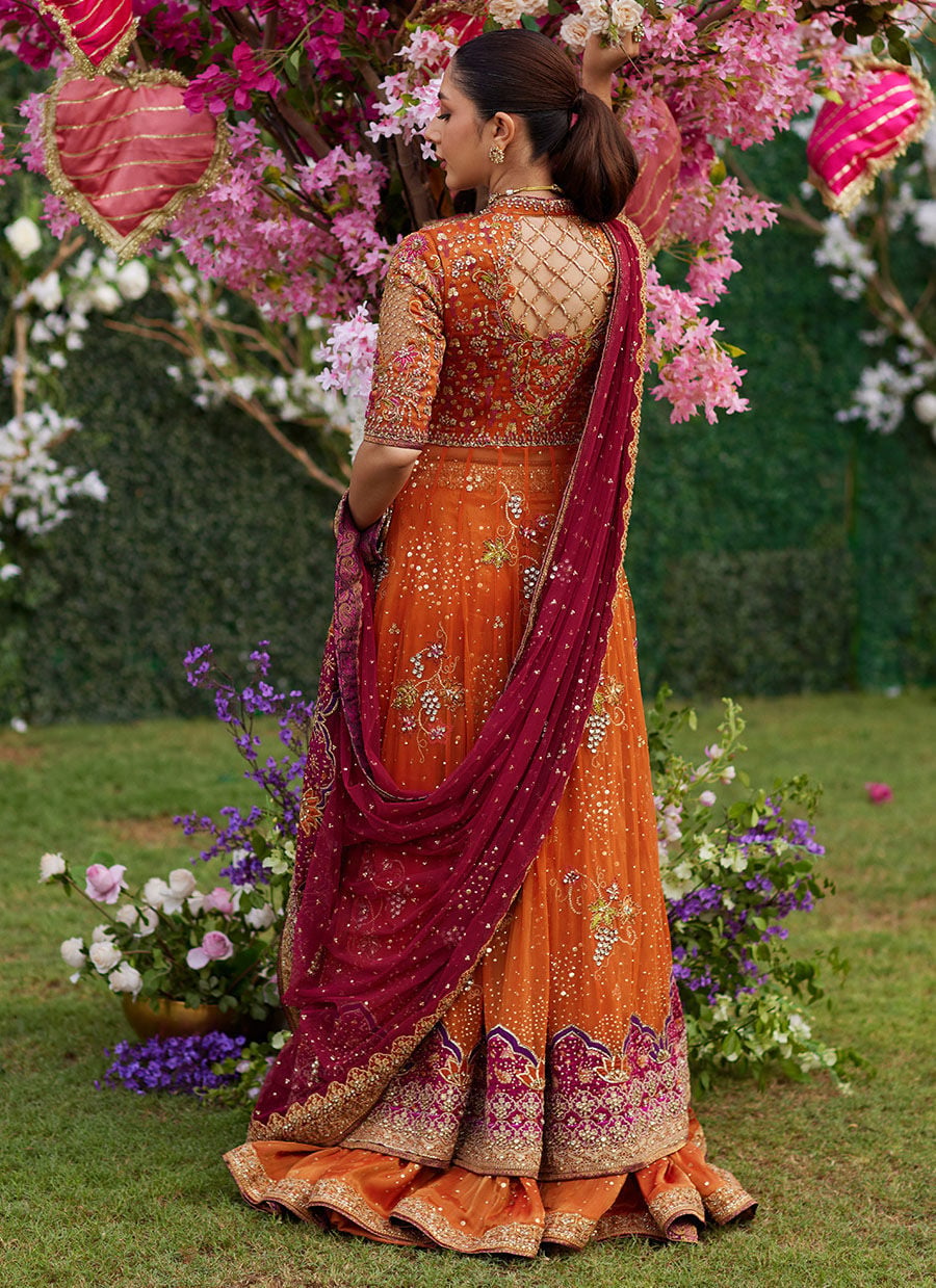 Mireya Burnt Orange Kalidaar