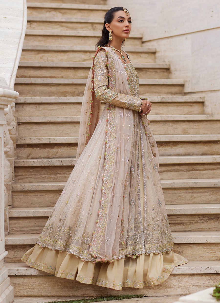 Sitara Champagne Kalidaar