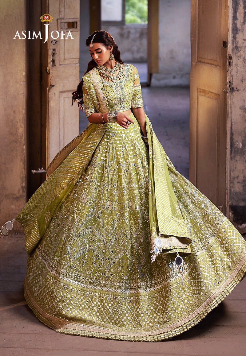 AJKBD-04 EMBROIDERED NET STITCHED 2 PCS