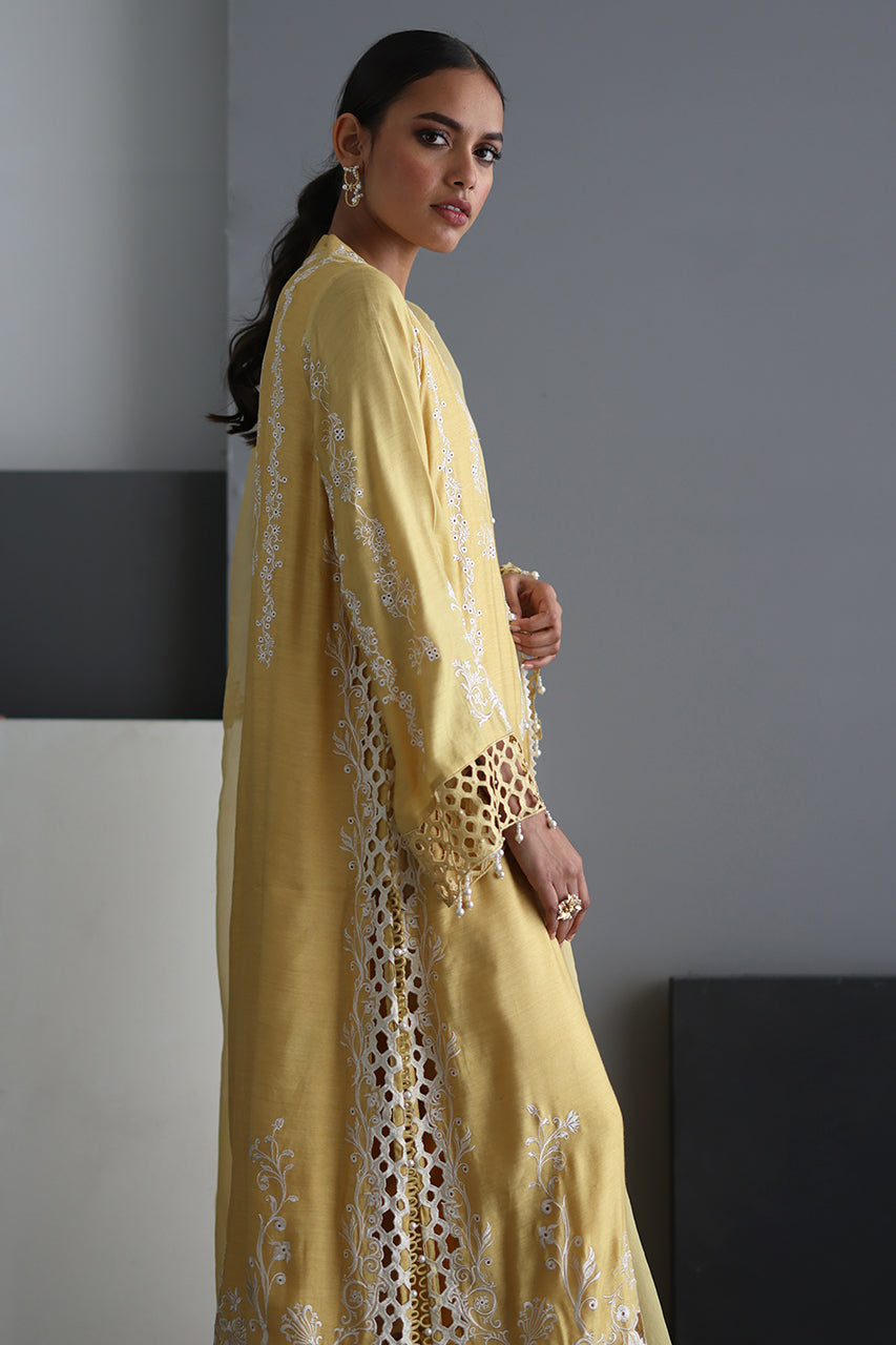 Yellow Motia - RTD
