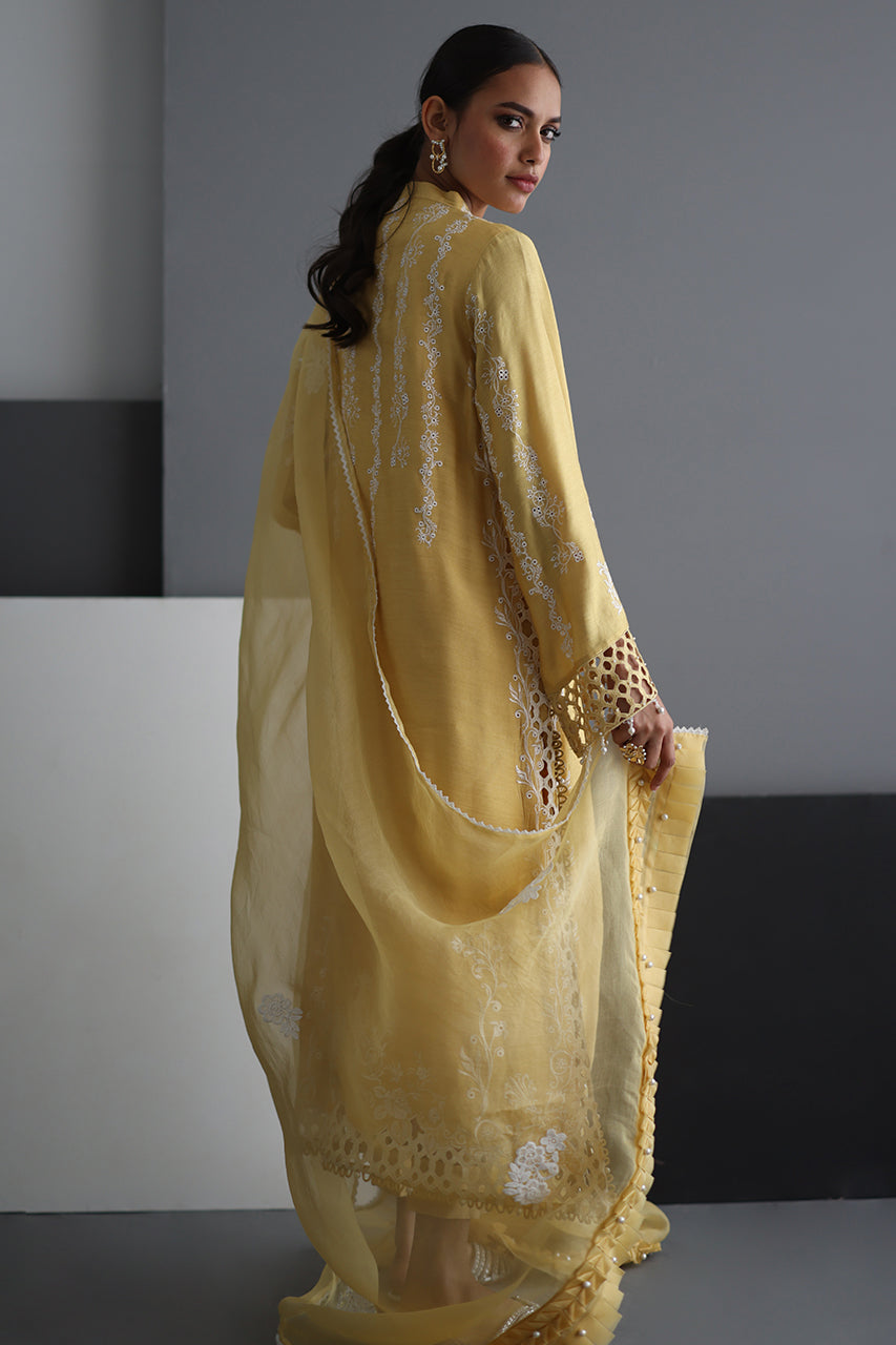 Yellow Motia - RTD