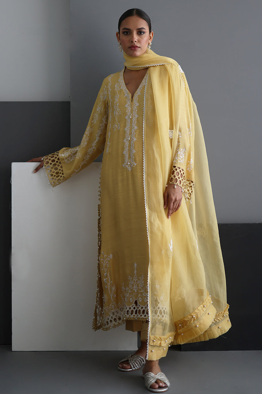 Yellow Motia - RTD