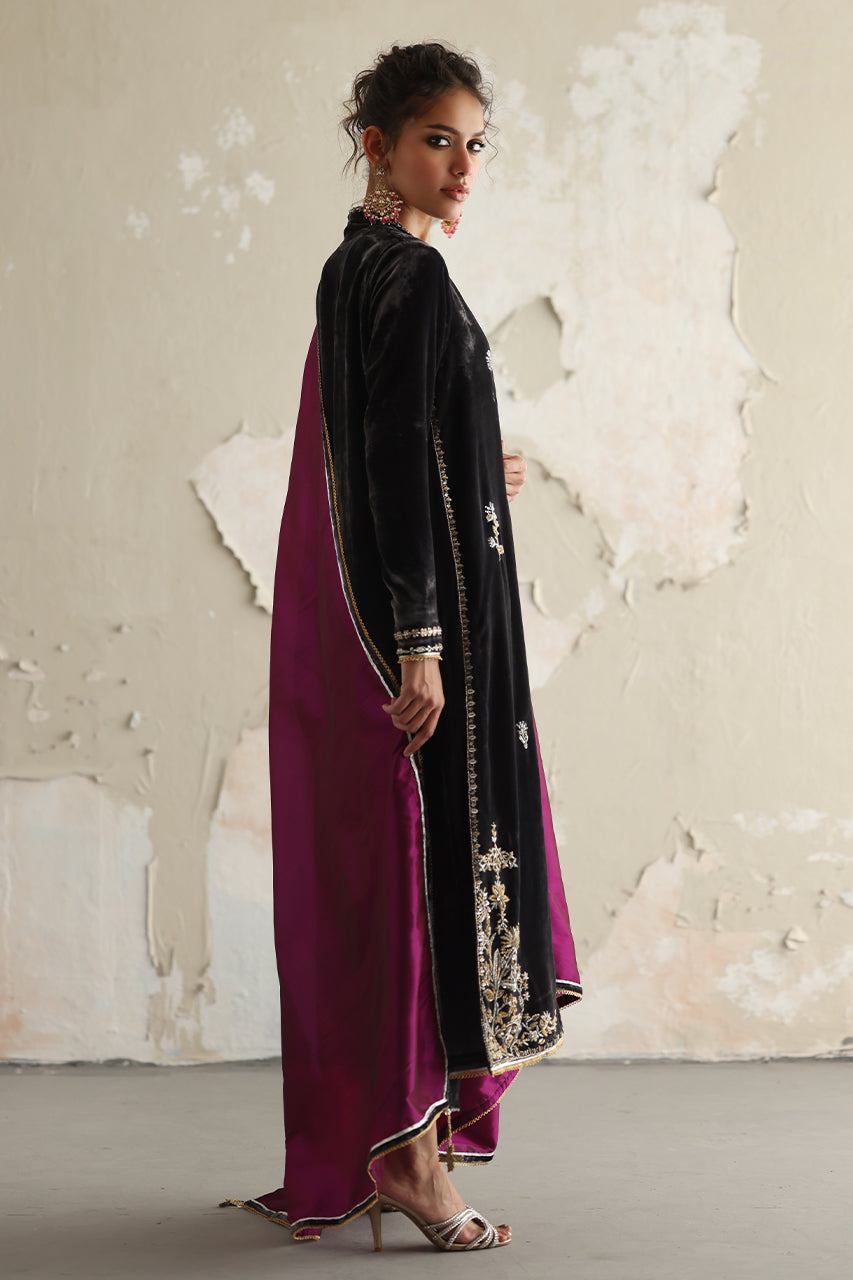 Delphine RTD