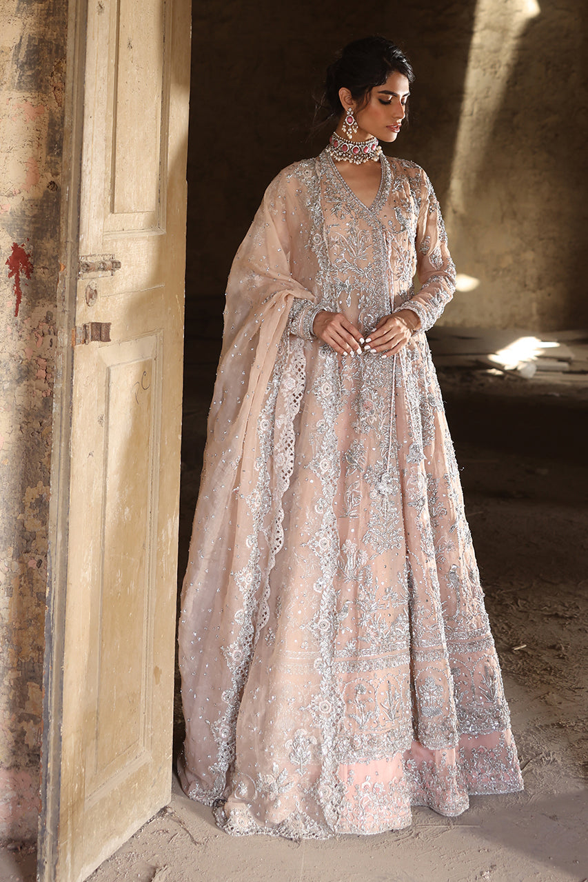 Shirin - RTD