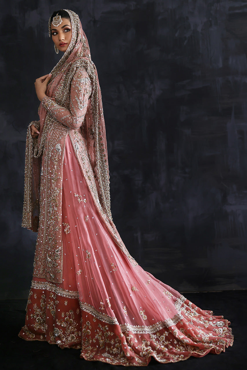 Primrose Pink - RTD