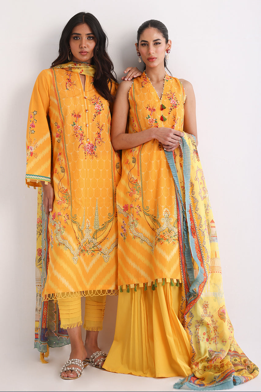 Marigold garden