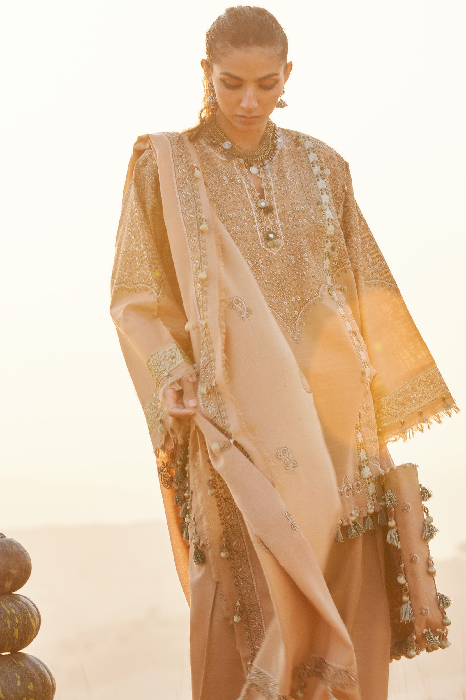 NEELAM (ZW25-01)