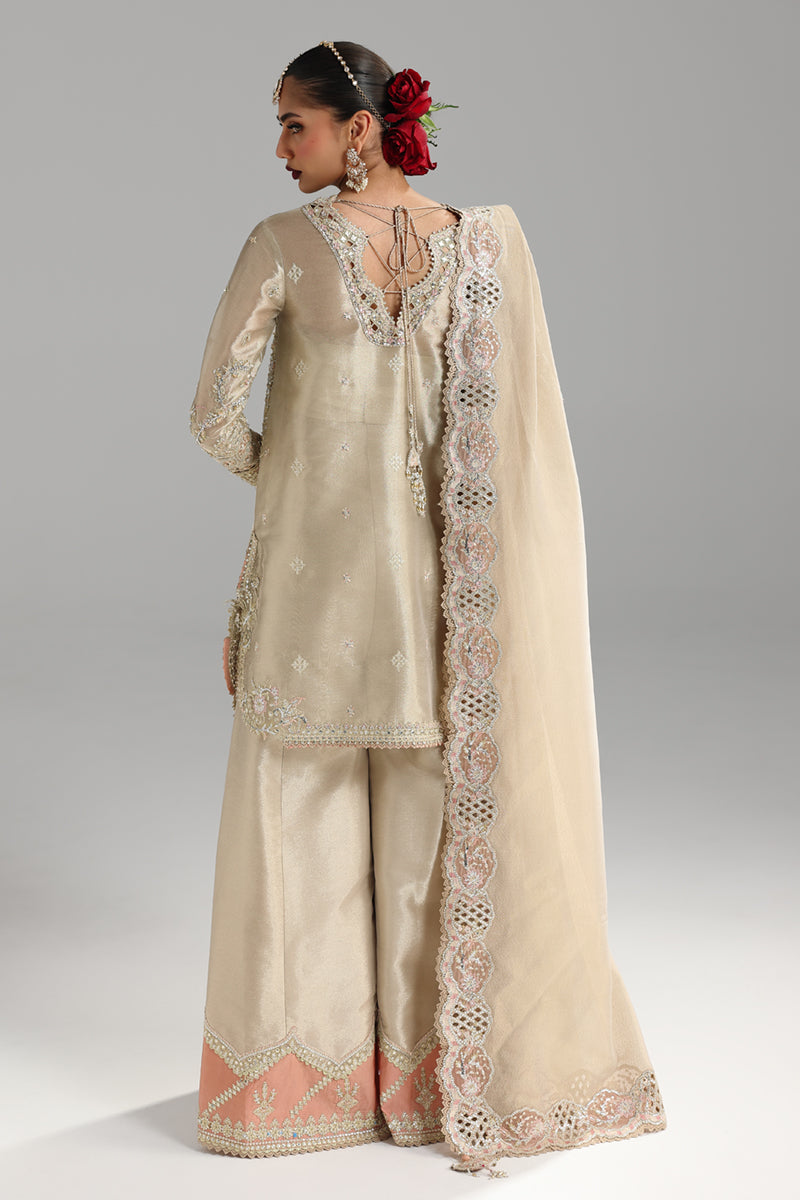 RH-07 AMEERA