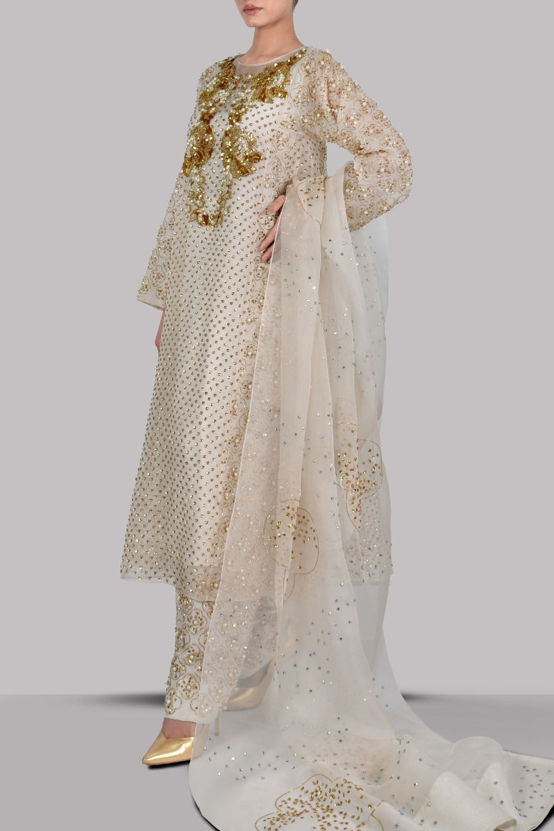 Egret Embellished Organza Set