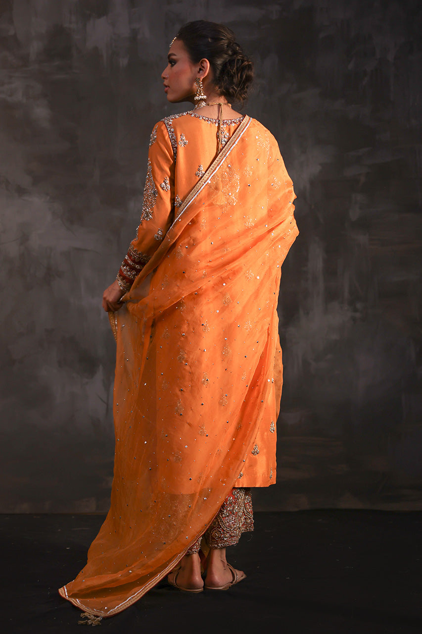Narangi Naksh - RTD