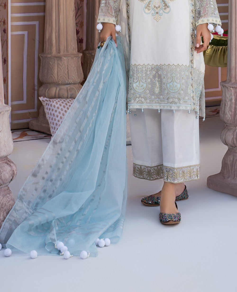 3 Piece Embroidered Organza Suit