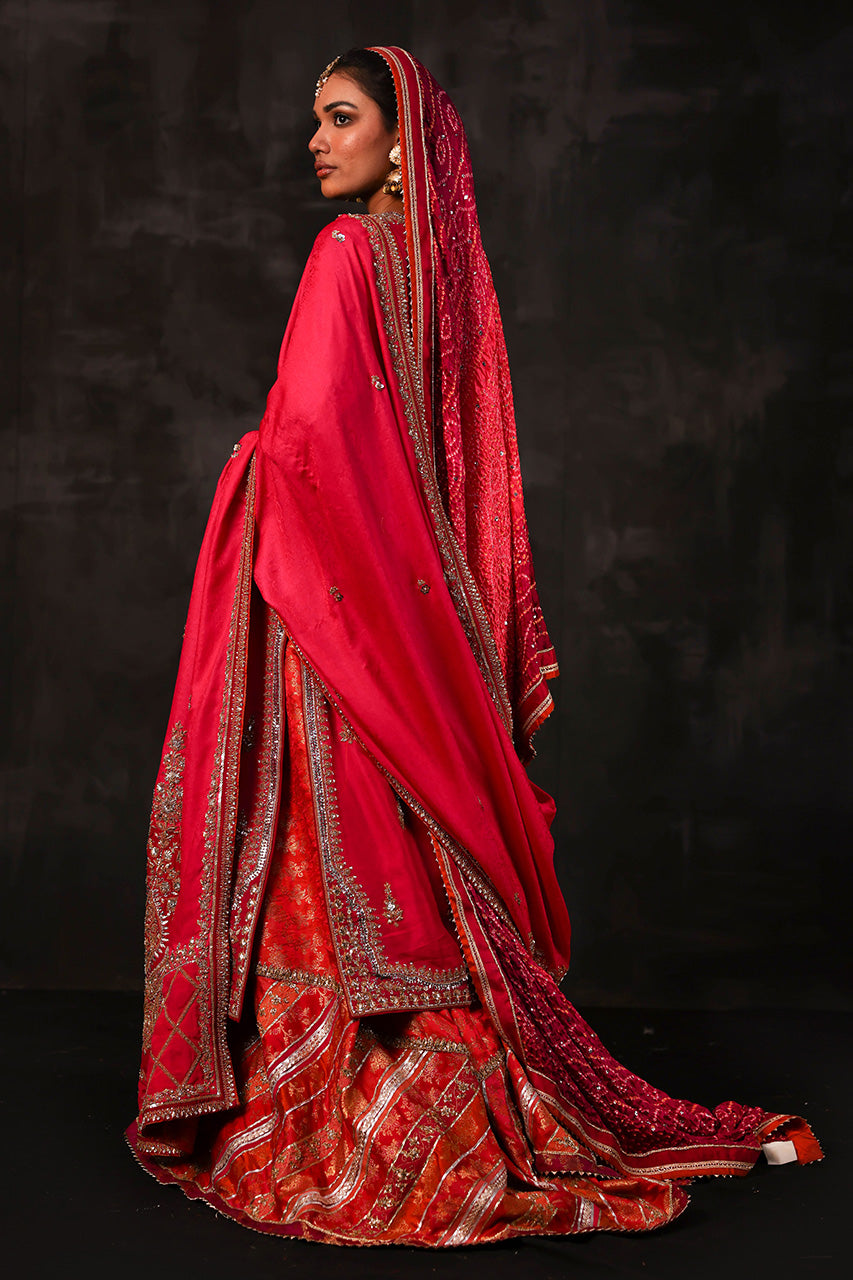 Gulabo Rani - RTD