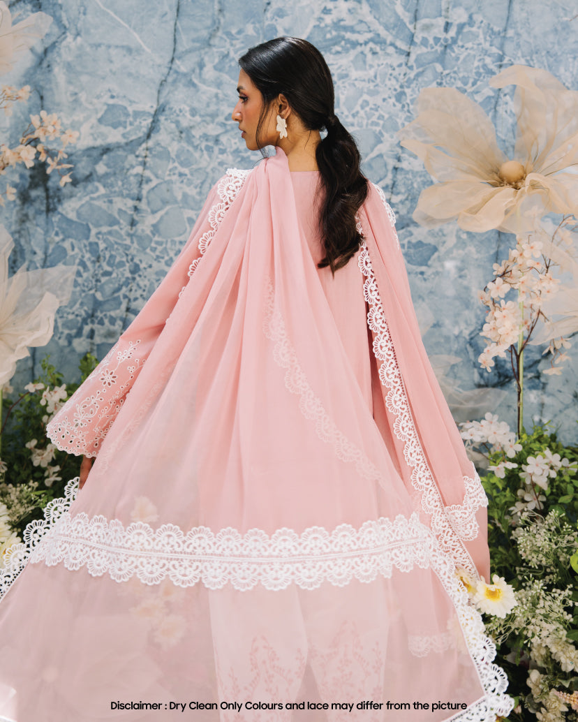 Blush Dupatta