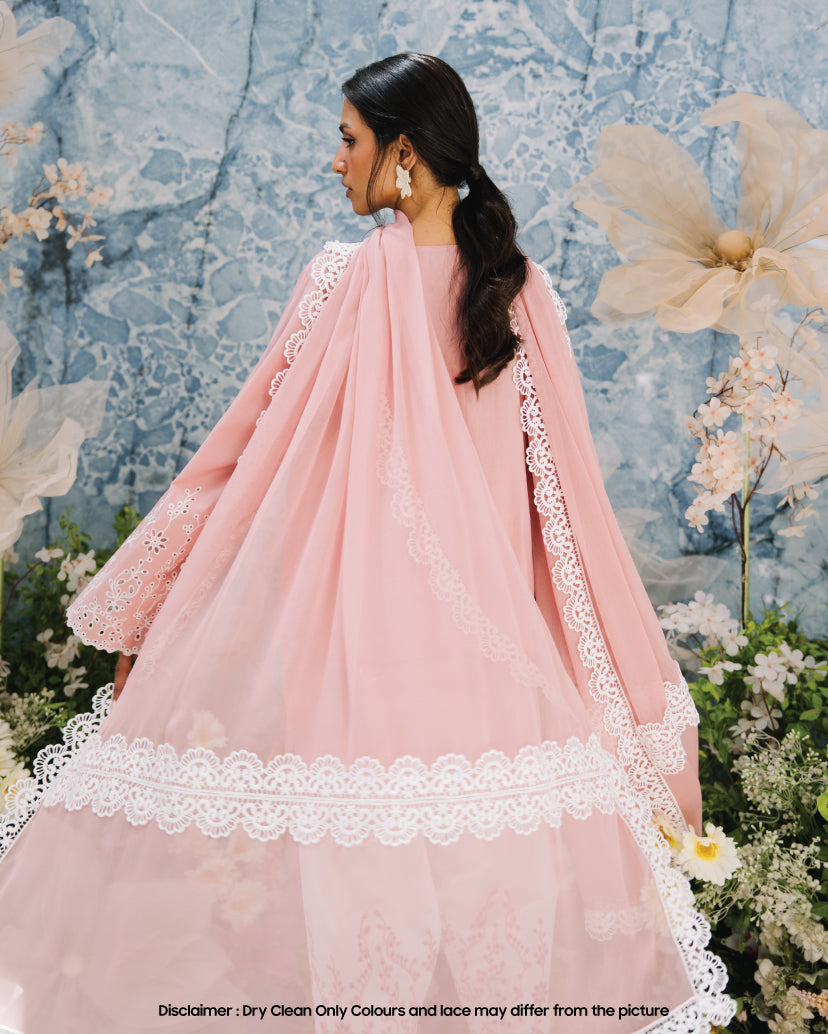 Blush Dupatta