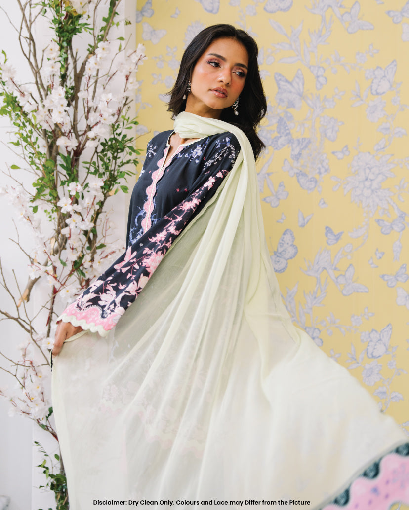 Starry dupatta