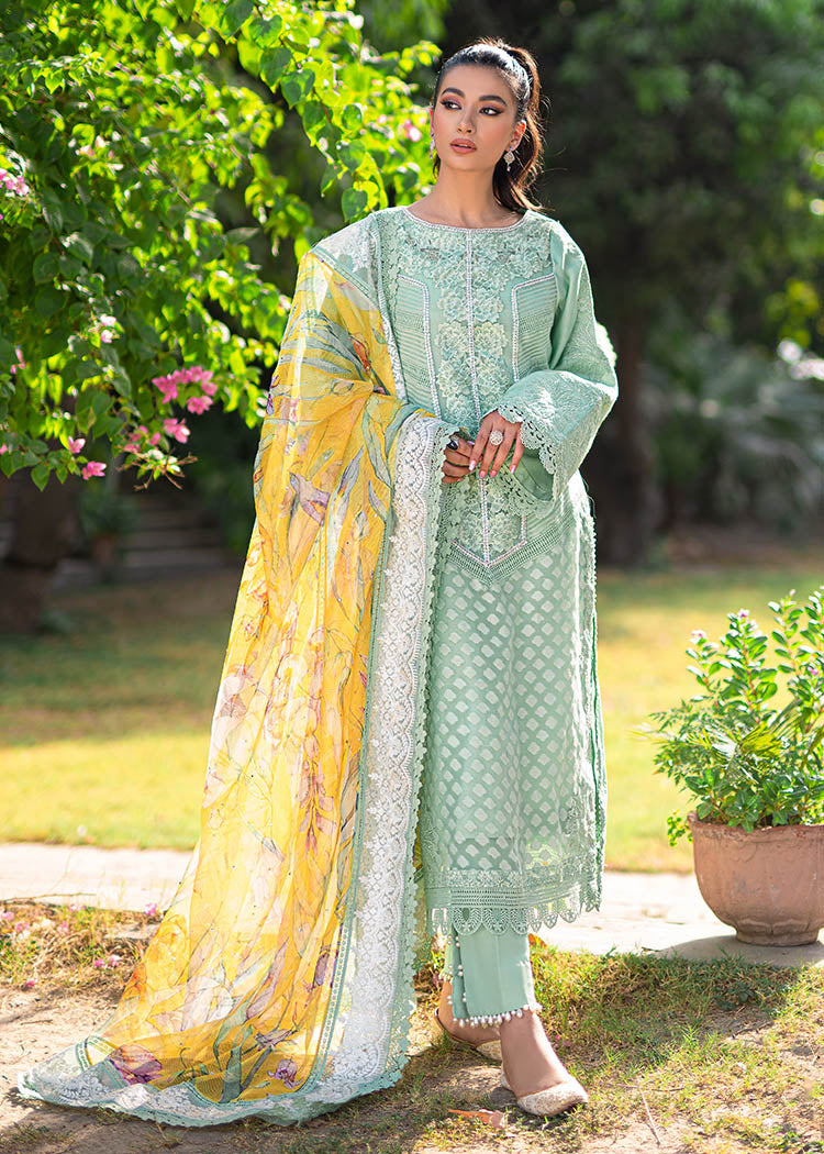 https://cdn.shopify.com/s/files/1/1625/9005/products/25_d591e531-7941-4fd1-8578-fdbc98813d4d.jpg?v=1655206965