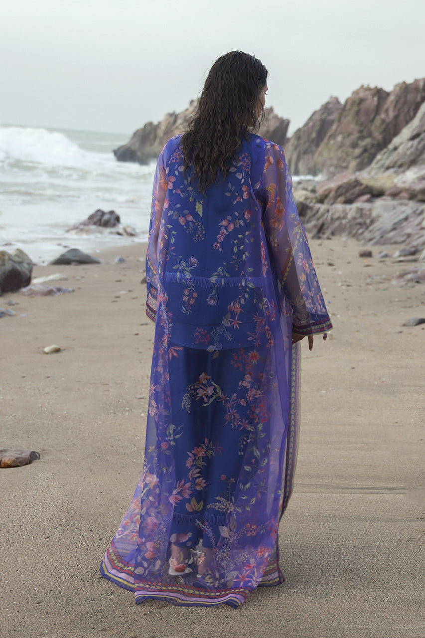 Blue Billow - RTD