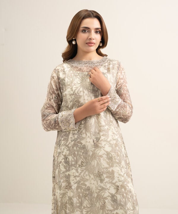 2 Piece - Embroidered Chiffon Suit