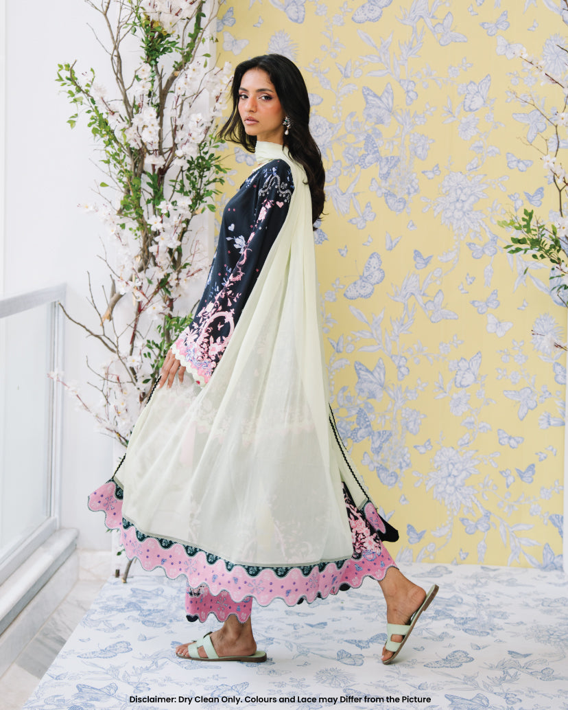 Starry dupatta