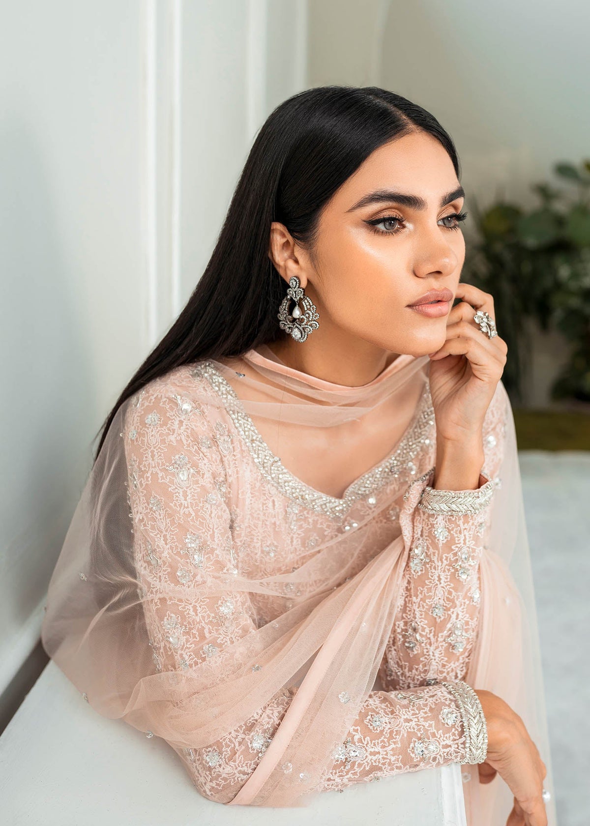 Blush Rose